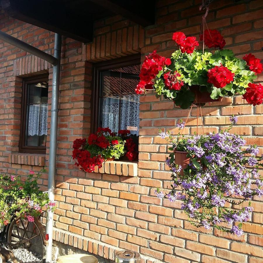 Maison d'hôtes Gosciniec Gałkowo Extérieur photo